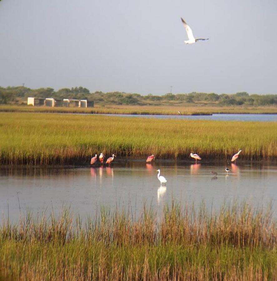 Las Casitas On Magnolia Beach - Casita A Port Lavaca Exteriör bild